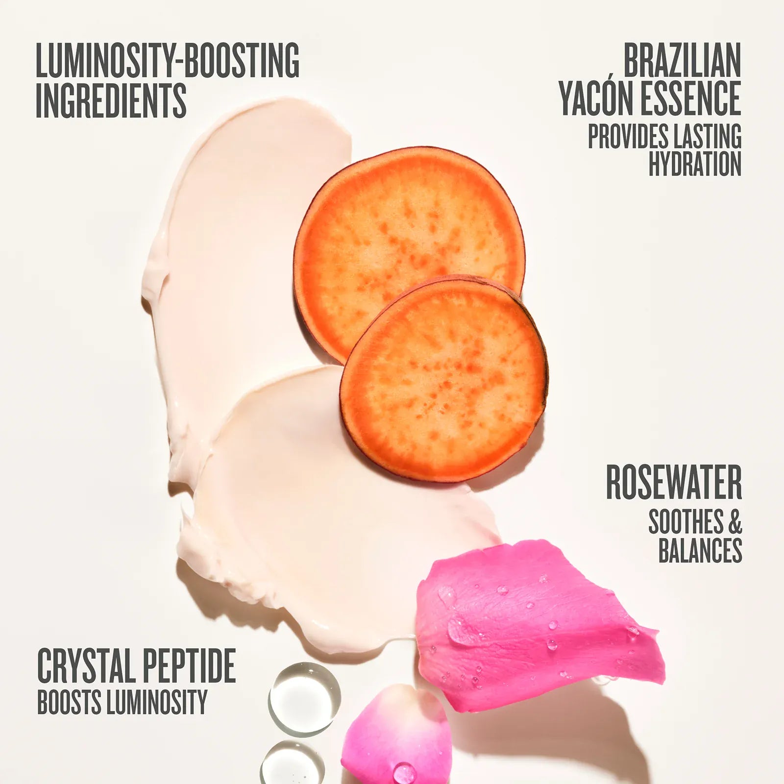 Rosa Charmosa™ Duo | Online Exclusive