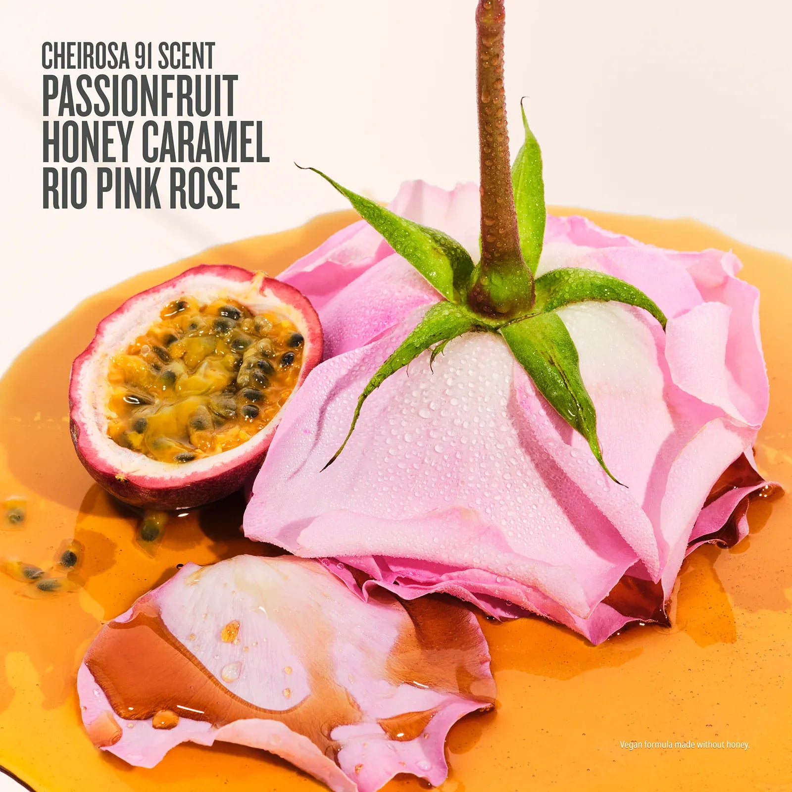 Rosa Charmosa™ Dewy Cream